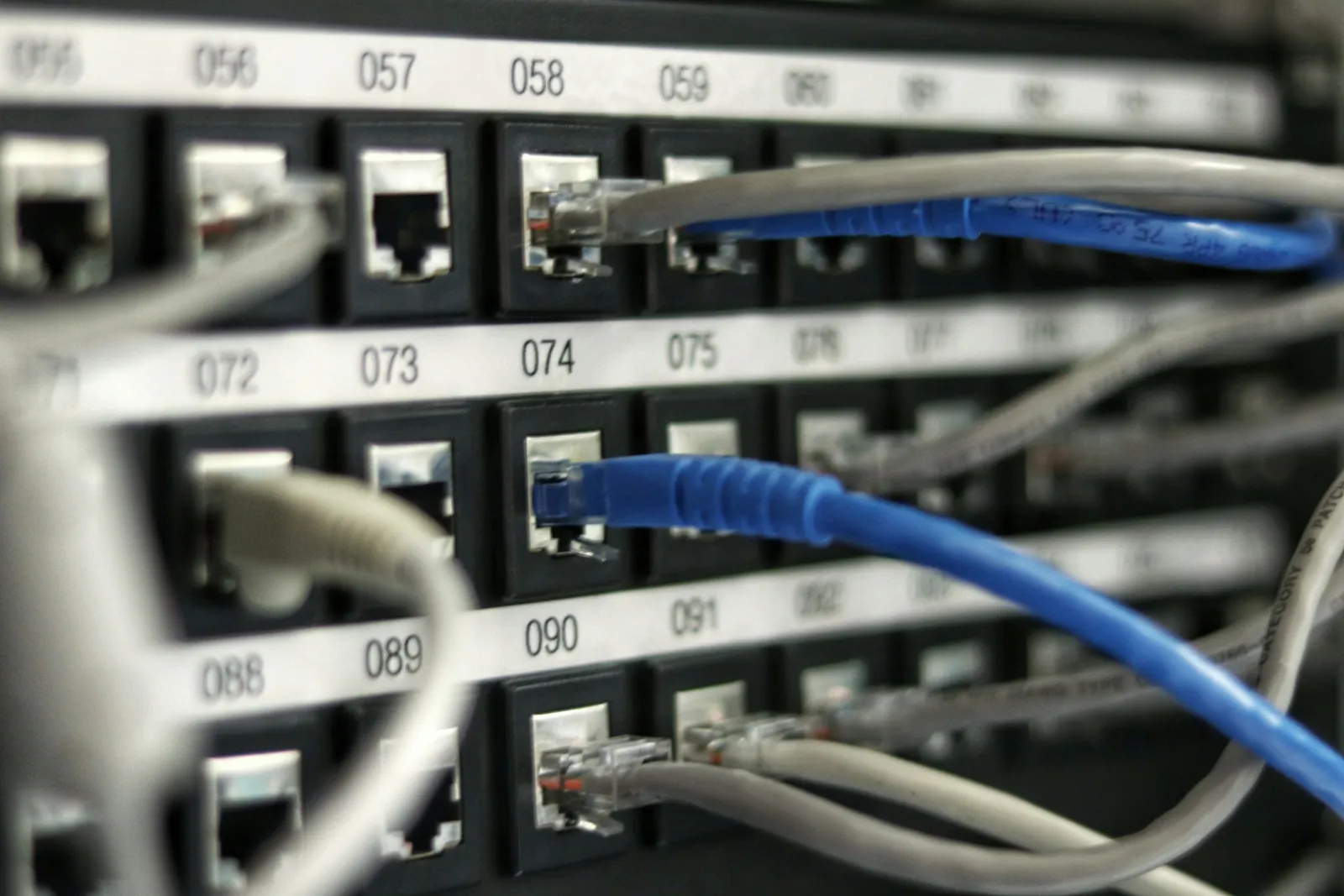Blue and grey network cables plugged into a patch panel.